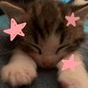cutiestyiaa