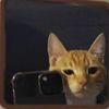 aware.user