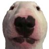 luke_ne