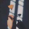 noay_17