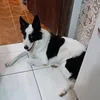 claudomirasilva