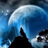 moonshadesnow