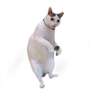demz_desu