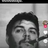 aleksandar736