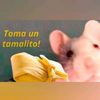 tamalito_de_pollo_1
