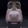 siappayok