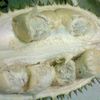 lemaributut44