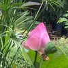 jeeranan.klin