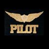 airbus320pilot