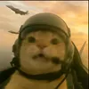 thanhlongxinhgaii_