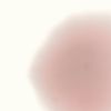 pol5136