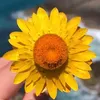 usejenny56