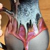 The Clay Plant