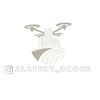 albeert_drone
