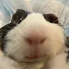 hannie_uwu04