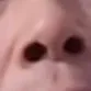 cukebecutt09