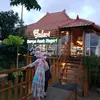 fina_vhenha1