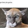eridblanco