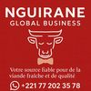 mansournguirane
