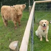 Monty&friends