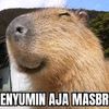akmalfarihin7