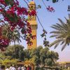 zahraa.baghdad