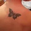 siniestratotal