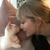 liulyrics