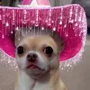louloufabulous