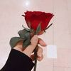 lulujeddah