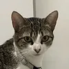 lookingforalaskax