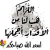noha.younes
