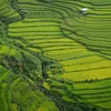 minh_tien87