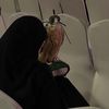 huda.9010