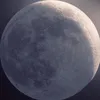 balatt_tv