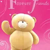 user5209561261264