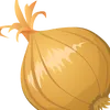friedonionwithwater