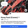 hungfassi