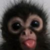 sillyingx3