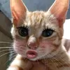 huyngthitramy_279