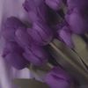 maram.8433