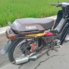 auliya755