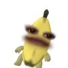 hldsy_