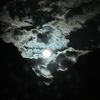 fatimamajid7452