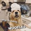 fluffybear63