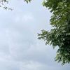 blackynalaruby22