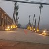 dahlah_256