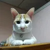 aramboy_1990