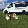 campervanlifex