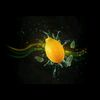 maksthe1